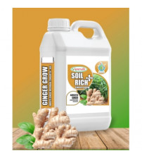 Ginger Grow - Ginger Liquid Microbial Consortia (AGG) 5 Litre